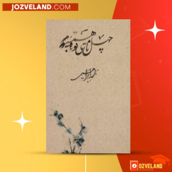 دانلود پی دی اف کتاب چهل نامه‌ی کوتاه به همسرم نادر ابراهیمی PDF