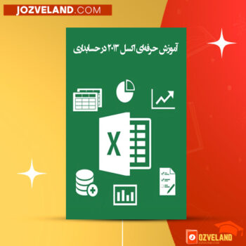 دانلود پی دی اف کتاب آموزش حرفه ای اکسل ۲۰۱۳ در حسابداری محمد مهرتاش PDF