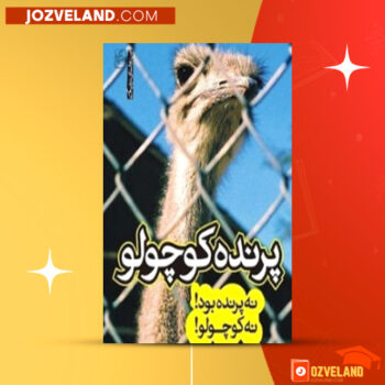 دانلود پی دی اف کتاب پرنده کوچولو، نه پرنده بود! نه کوچولو! سیدمهدی موسوی PDF